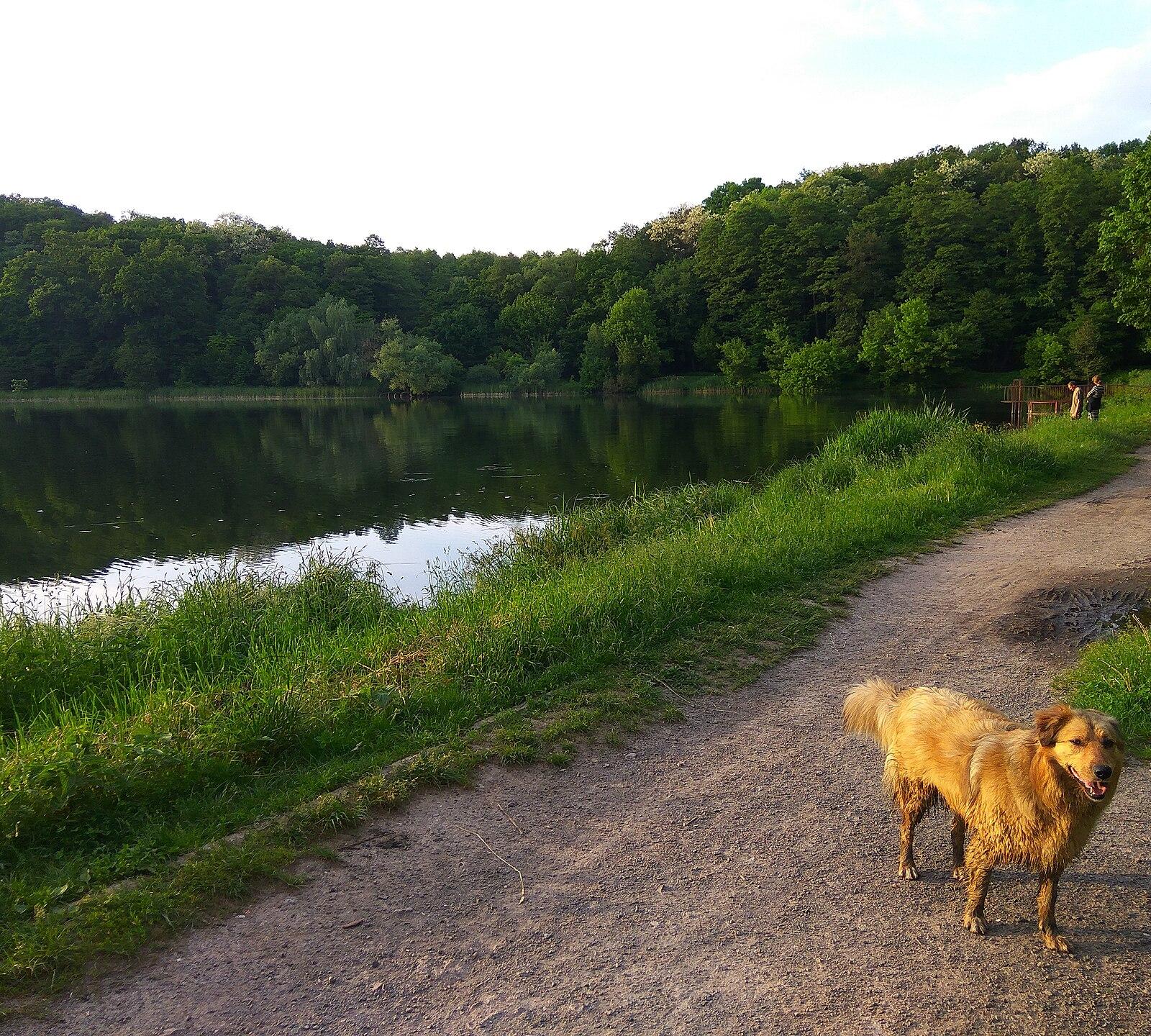 Holosiiv Park (May 2019) 2